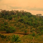 Visão da frente da casa sede